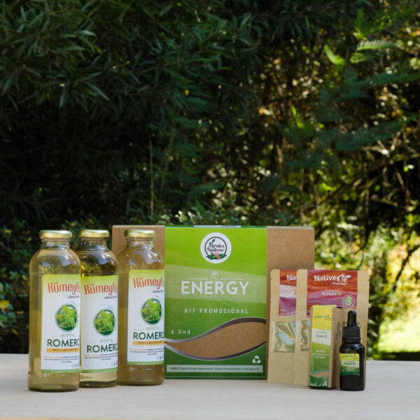 ENERGY KIT