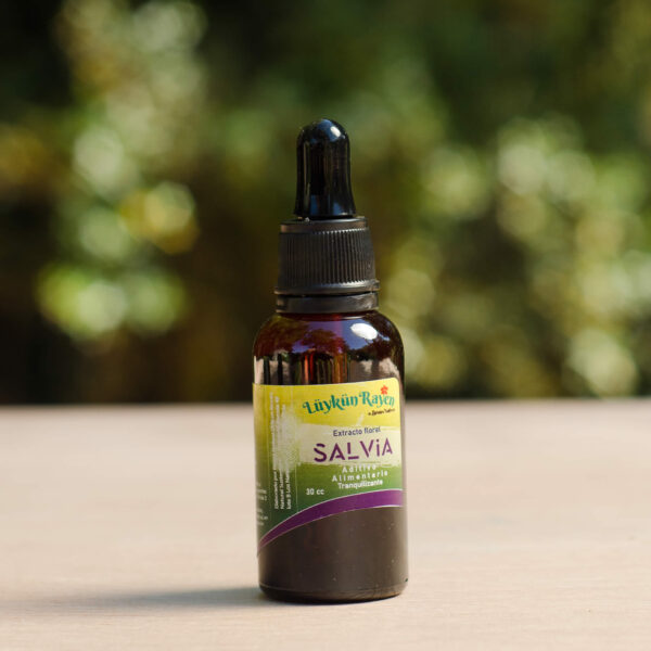 Extracto de Salvia