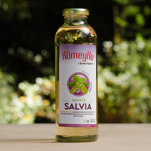 Menta Salvia 500cc