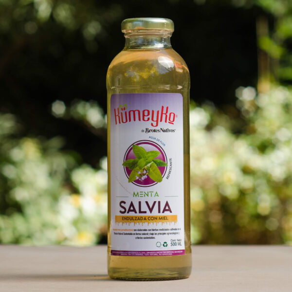 Salvia Menta 500cc